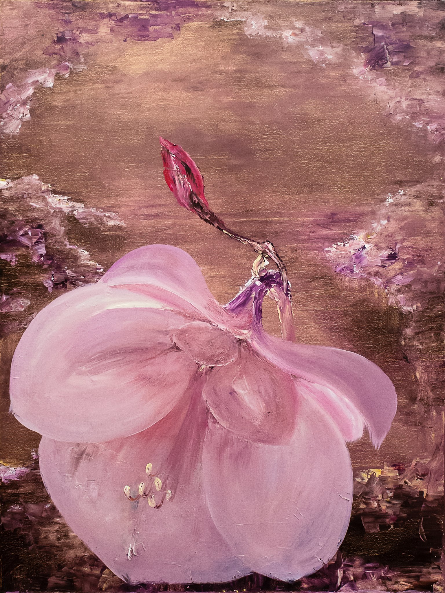 Amarilis