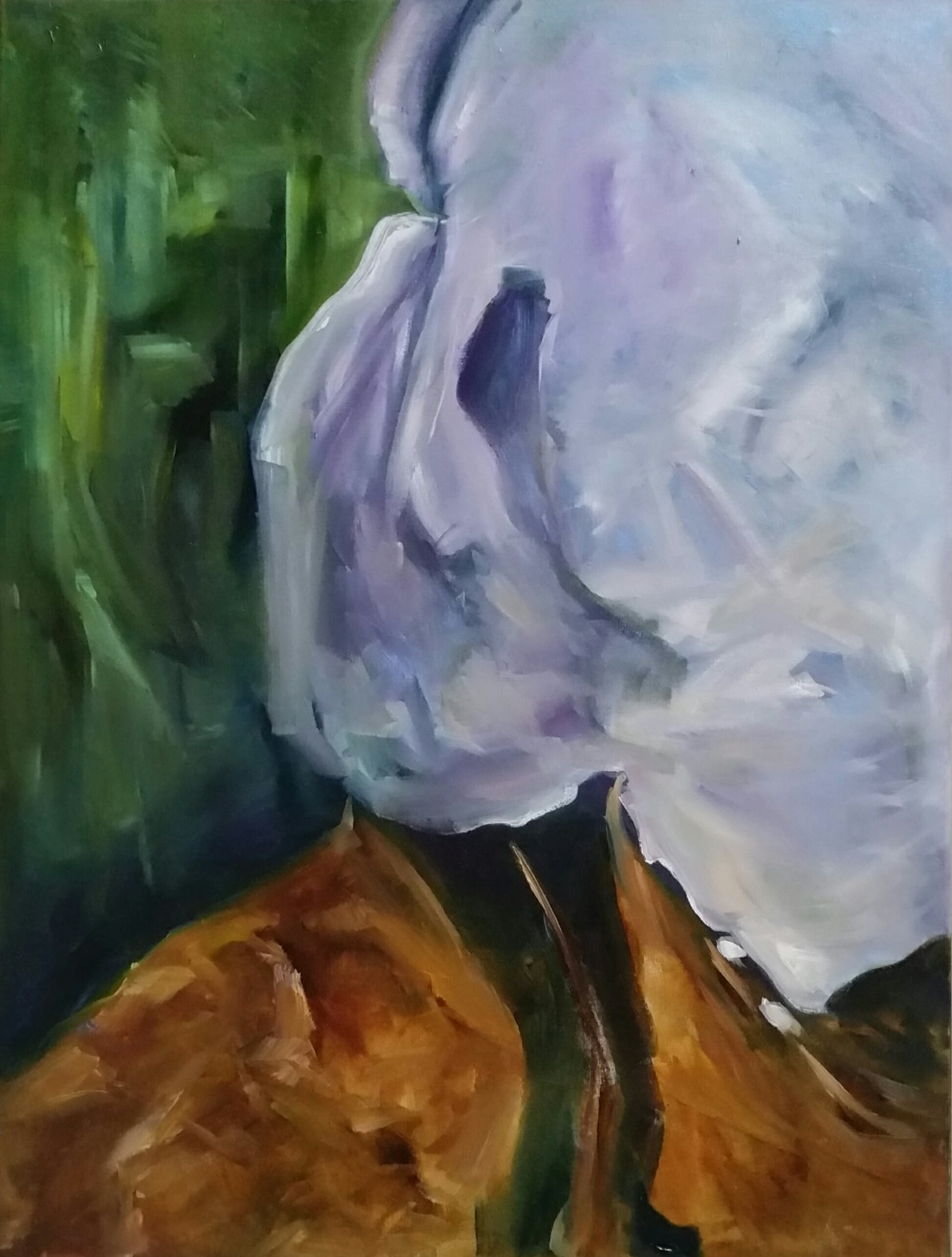 Migla į akis