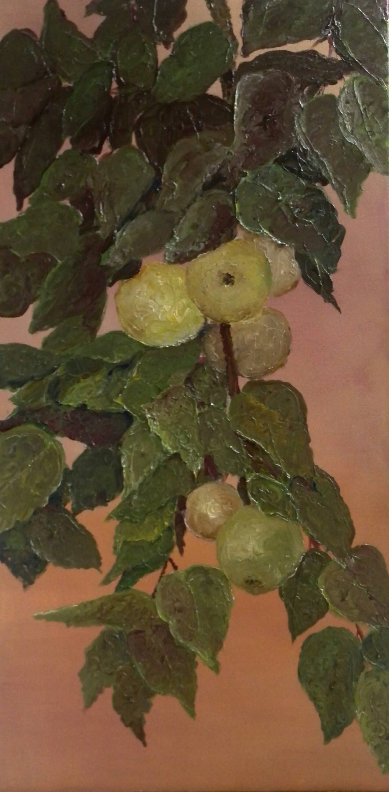 Obuoliai