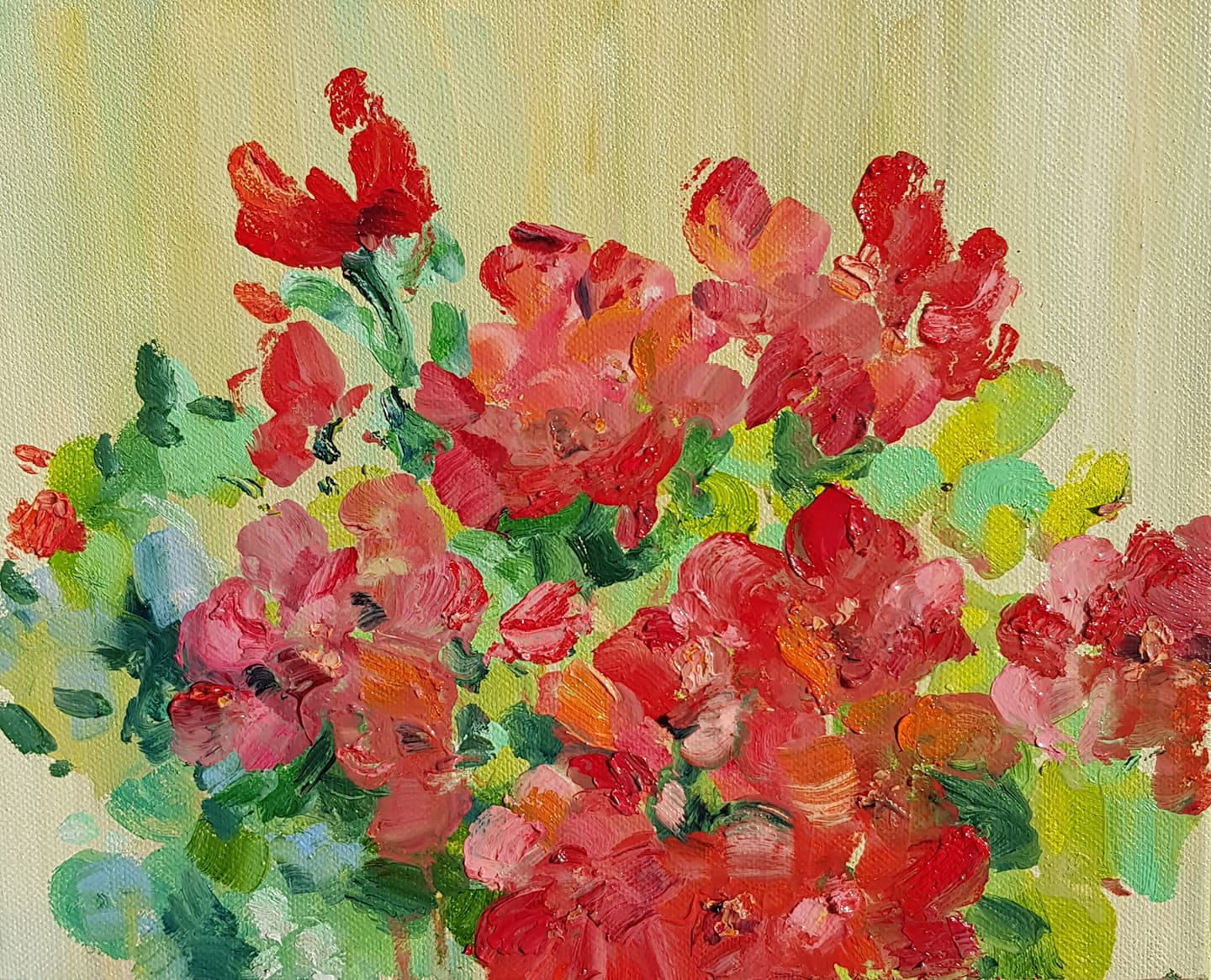 Pelargonijos