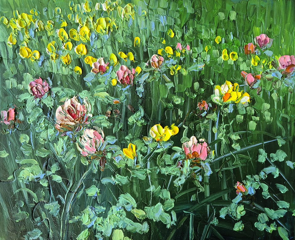 Pieva 24 x 30