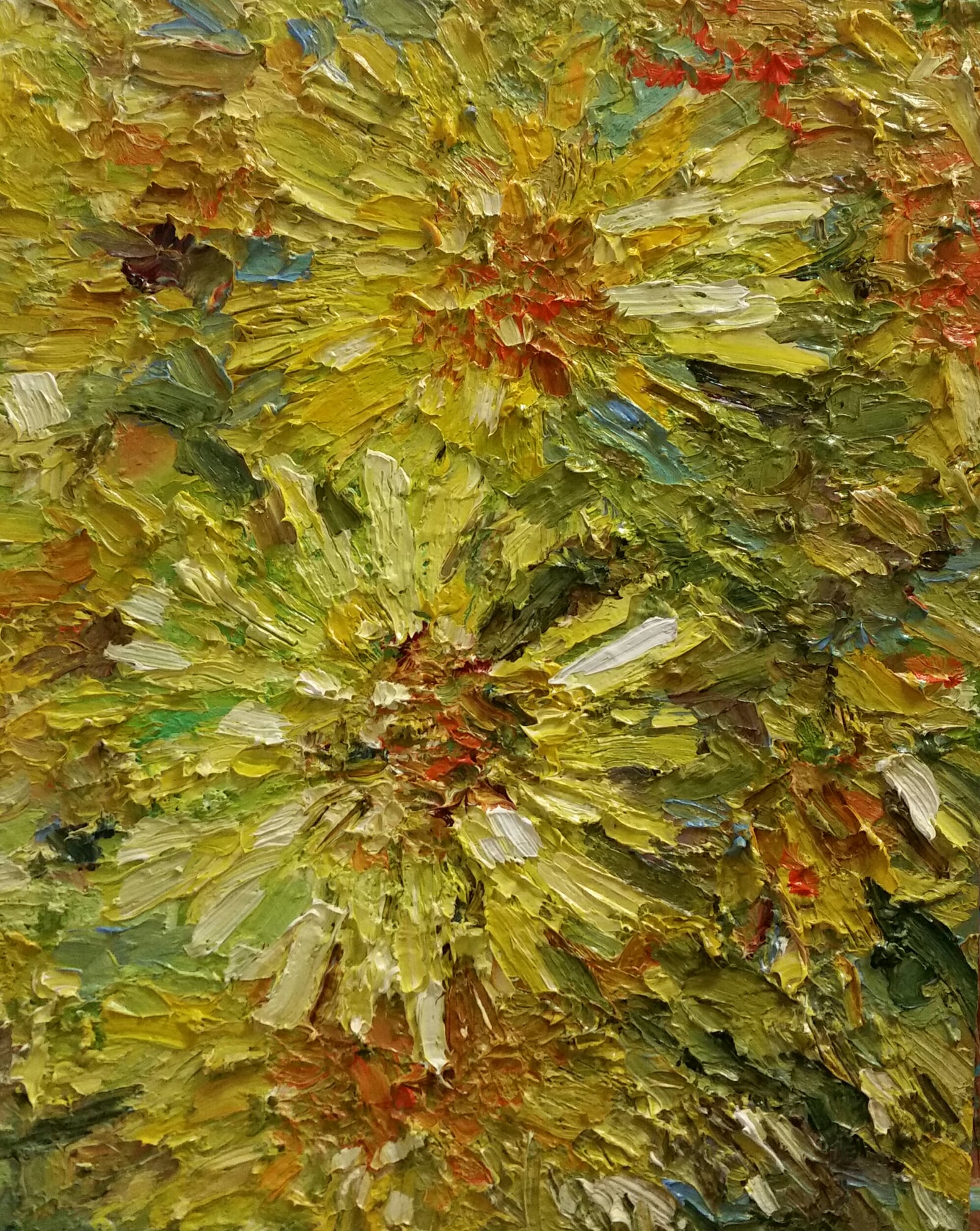 Šilumos ir pievų ilgesys